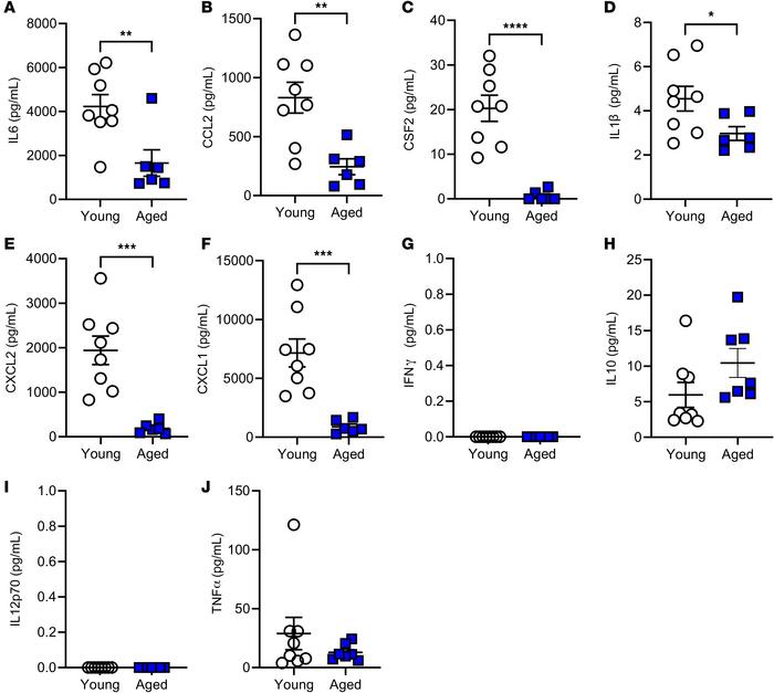Effect of age during mechanical ventilation on inflammatory cytokine pro...