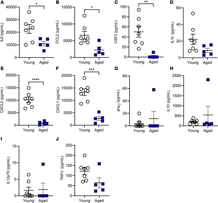 Effect of age during mechanical ventilation on inflammatory cytokine pro...
