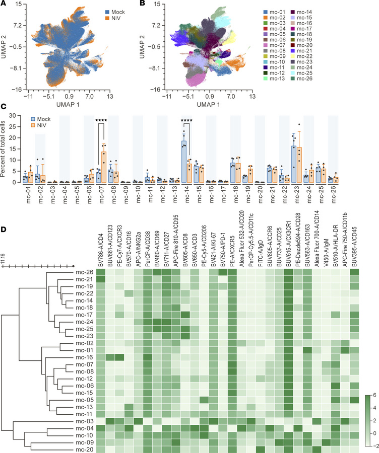 Changes in splenocytes phenotype between exposed and unexposed GMs.
(A) ...