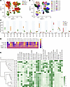 Comparisons of leukocytes from multiple tissues in RhMs.