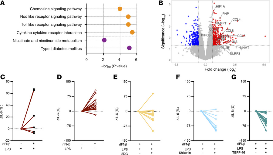 IFN-I/PKM2 axis regulates inflammatory cytokine production in human adip...