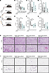 Improvement of metabolic disease severity following small molecule targetin