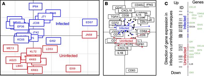 Multivariate analysis of PBMC gene expression between T. cruzi–infected ...