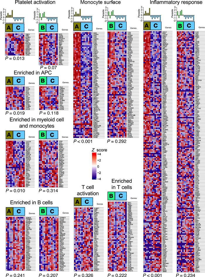 GSEA pathways associated with macaque PBMC responses.
The indicated path...