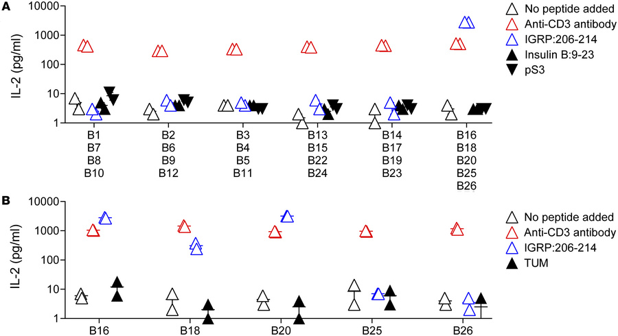 Reactivity to islet antigens by TCRs composed of public NY8.3 α.
(A) TCR...