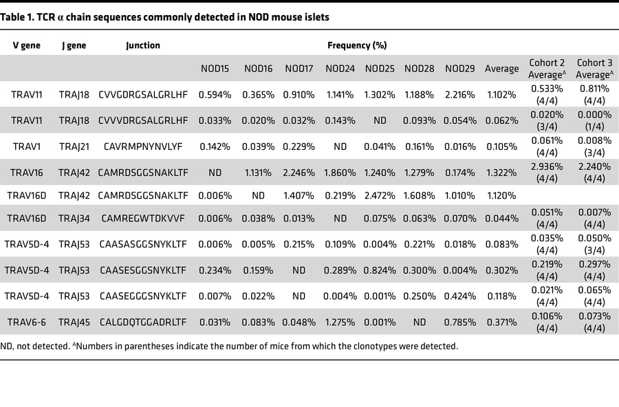 TCR α chain sequences commonly detected in NOD mouse islets