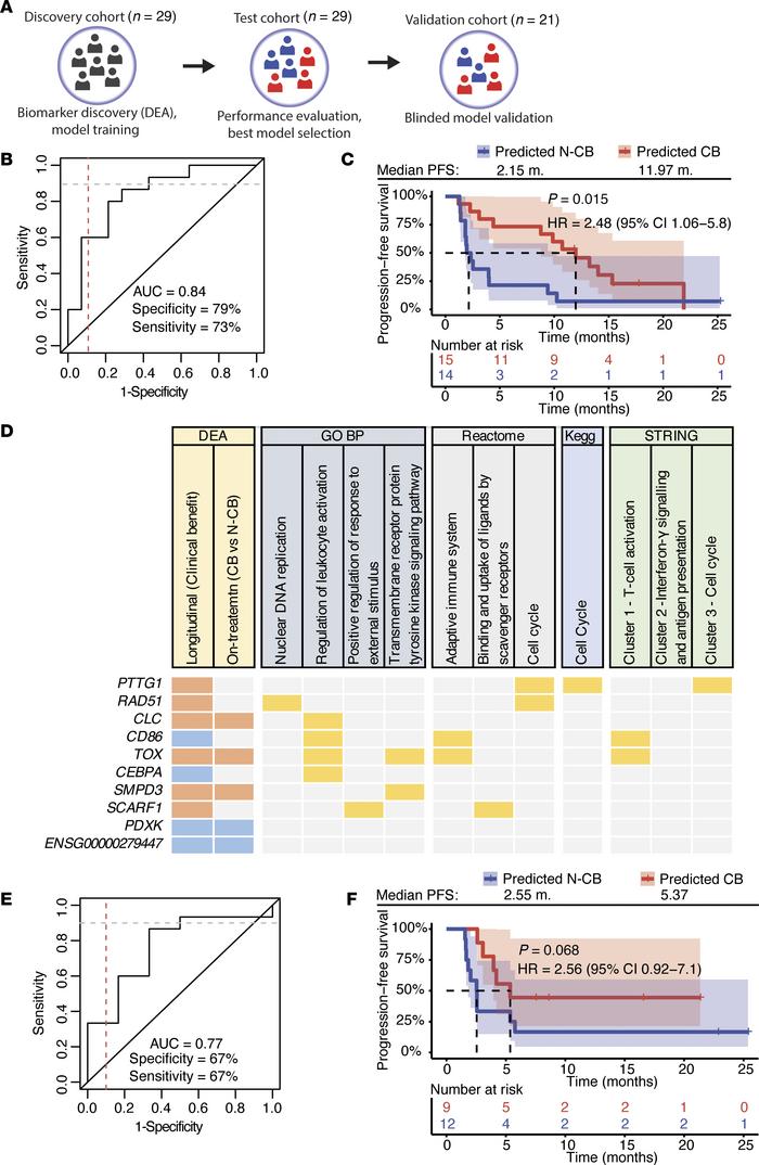 Blood-based immunotranscriptome predictive model forecasts CB in an inde...