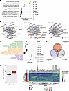 Blood immunotranscriptome dynamics in CB patients reveal the biological mod