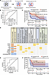 Blood-based immunotranscriptome predictive model forecasts CB in an indepen