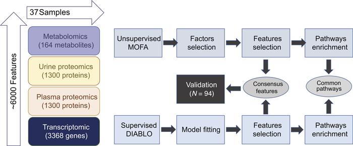 MOFA and DIABLO integrative approaches applied to the C-PROBE cohort.
Fi...
