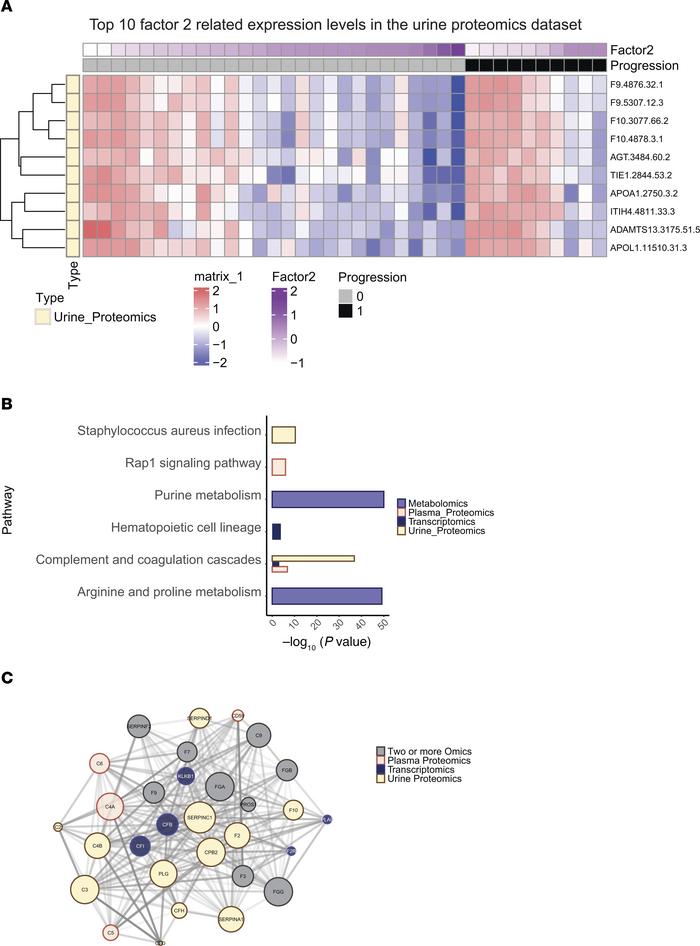 Expression levels and pathway enrichment of top 10 MOFA extracted featur...