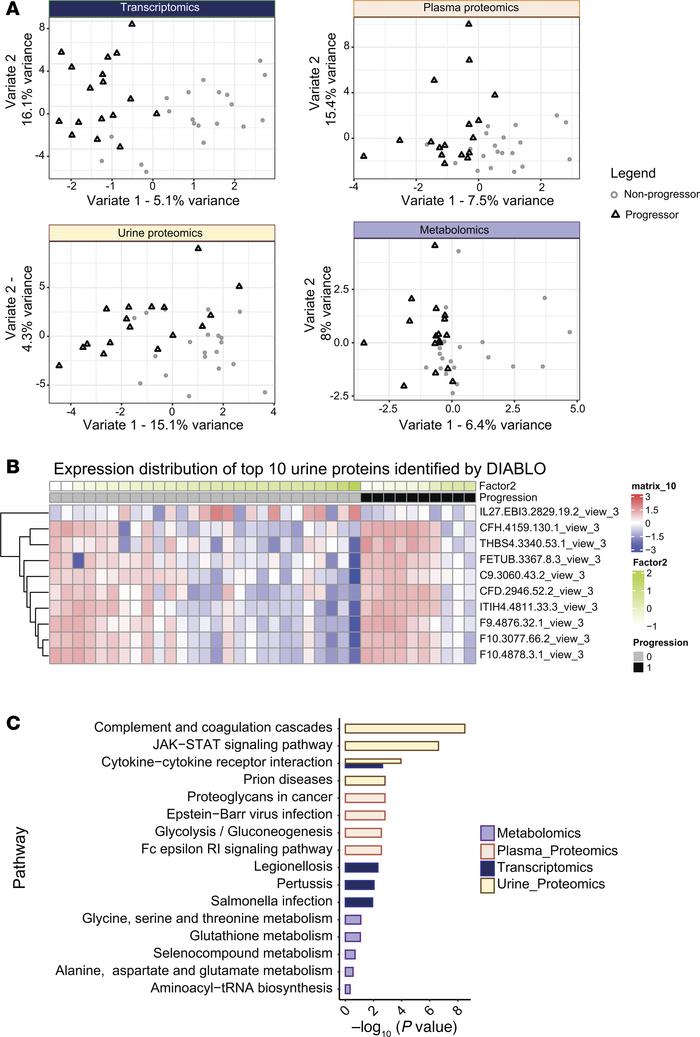 Top 10 features, expression levels, and enriched pathways using DIABLO.
...