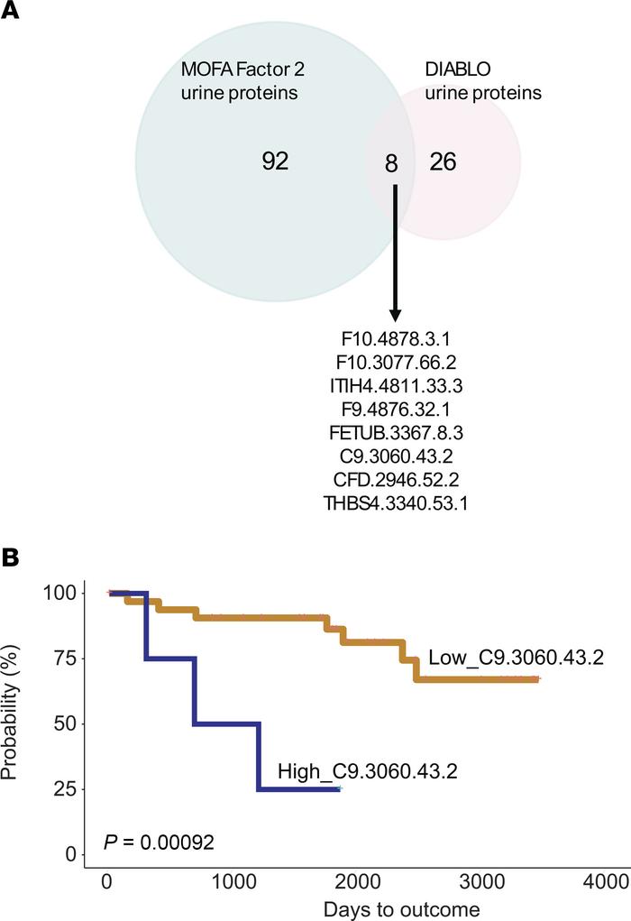 Consensus urinary proteins identified by MOFA and DIABLO.
(A) Venn diagr...