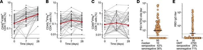Longitudinal SARS2-specific T cell responses and Ab responses to primary...