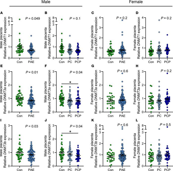 Placental expression of DNMTs by alcohol and sex.
Expression of DNA meth...