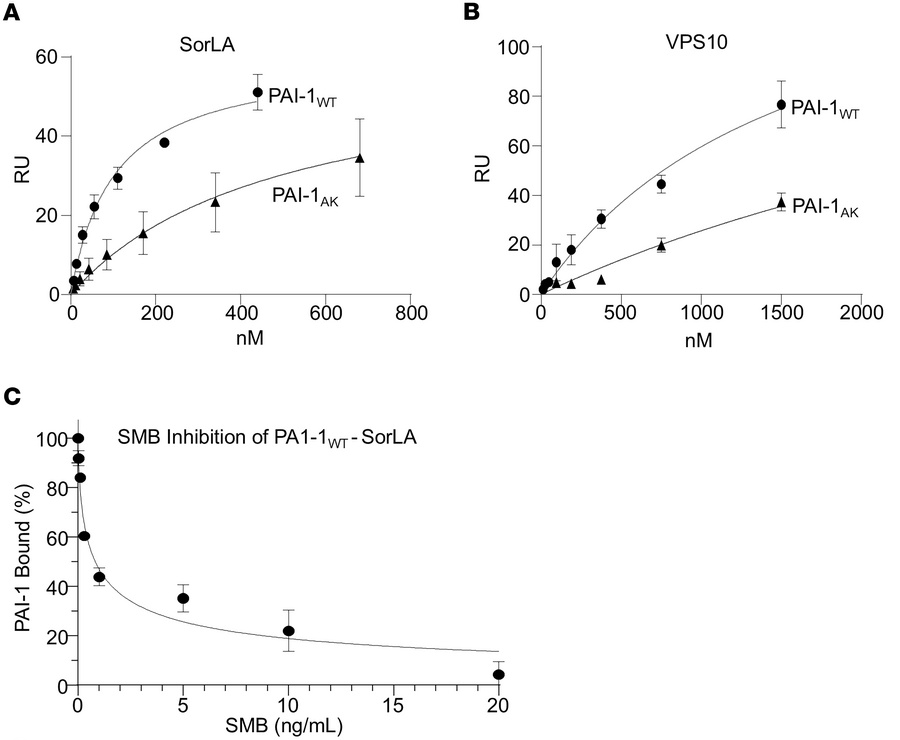 PAI-1 binds to SorLA as revealed by SPR analysis.
Increasing concentrati...