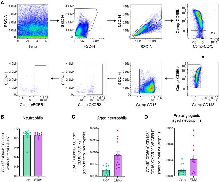 Women with endometriosis have higher levels of aged and proangiogenic ne...