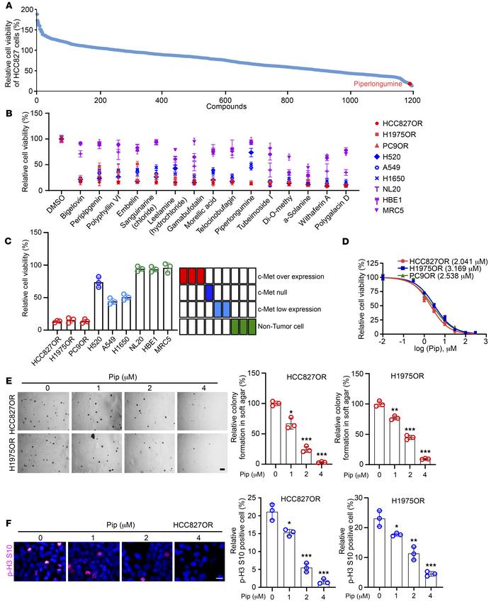 Piperlongumine inhibits osimertinib-resistant NSCLC cell lines.
(A) Cell...