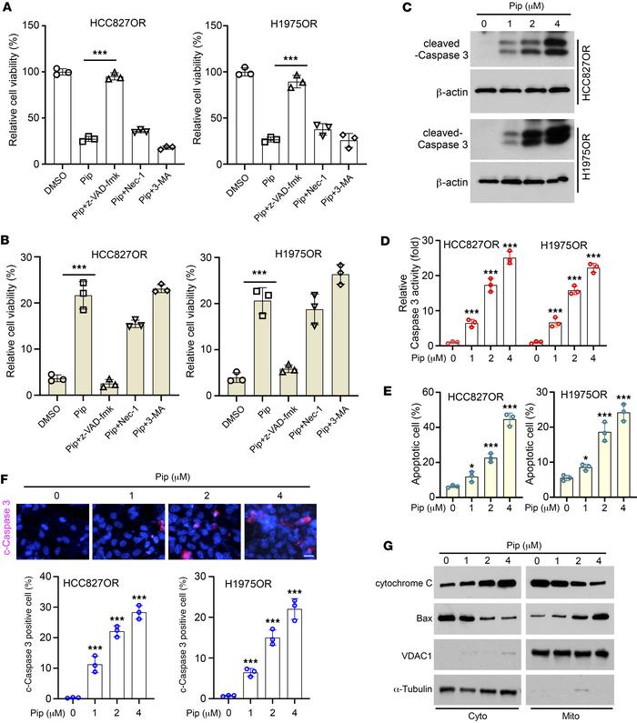 Piperlongumine promotes intrinsic apoptosis in osimertinib-resistant NSC...