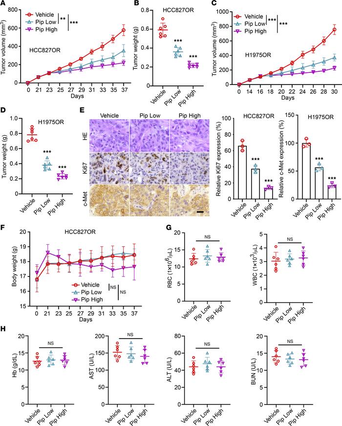 Piperlongumine inhibits the growth of osimertinib-resistant cells in viv...