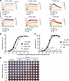 Fc fragment steric hindrance and avidity contribute to H7-235 neutralizatio