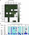H7-235 is a broadly reactive mAb and sensitive to aa substitutions within t