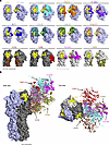 Comparison of rH7-235 and other antibodies targeting H7 HA head and HA head
