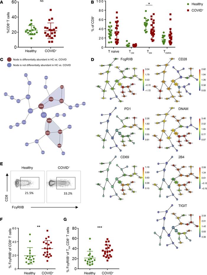 FcγRIIB is upregulated on CD8+ T cells isolated from patients with COVID...