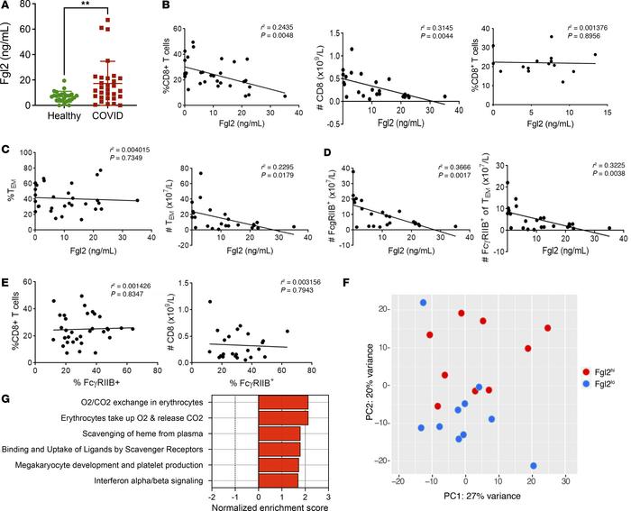 Fgl2 is increased in the serum of patients with COVID and is associated ...