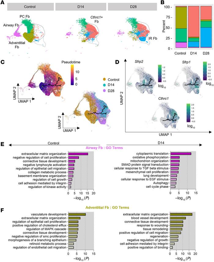 Surgery-induced stress selectively alters subtypes proportion of the fib...