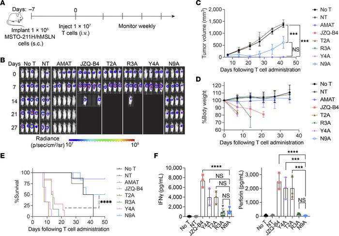 Affinity-tuned N9A CAR T cells mediate superior tumor response in vivo w...