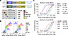 Binding affinities of MSLN CAR variants.