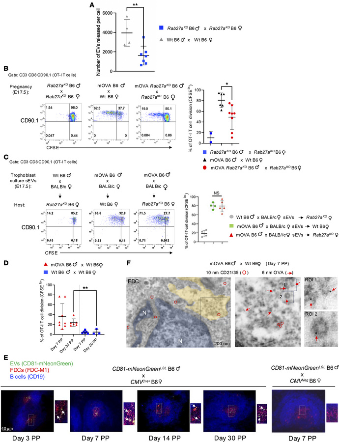 Reduction of release of fetoplacental sEVs decreases maternal T cell rec...