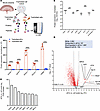 Characterization by high-resolution LC-MS of protein cargo in mouse trophob