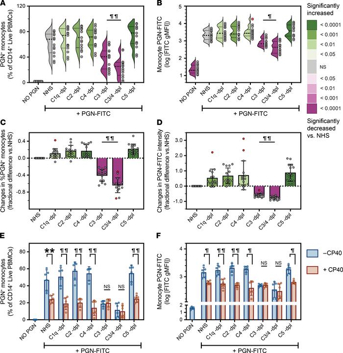 Optimal PGN uptake requires opsonization by complement C3.
PGN-FITC part...