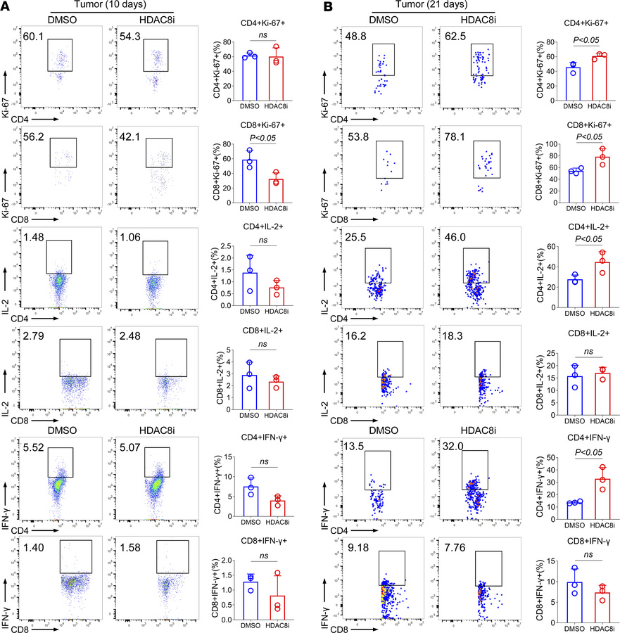Inhibition of HDAC8 promotes T cell–mediated antitumor immunity.
(A) Flo...