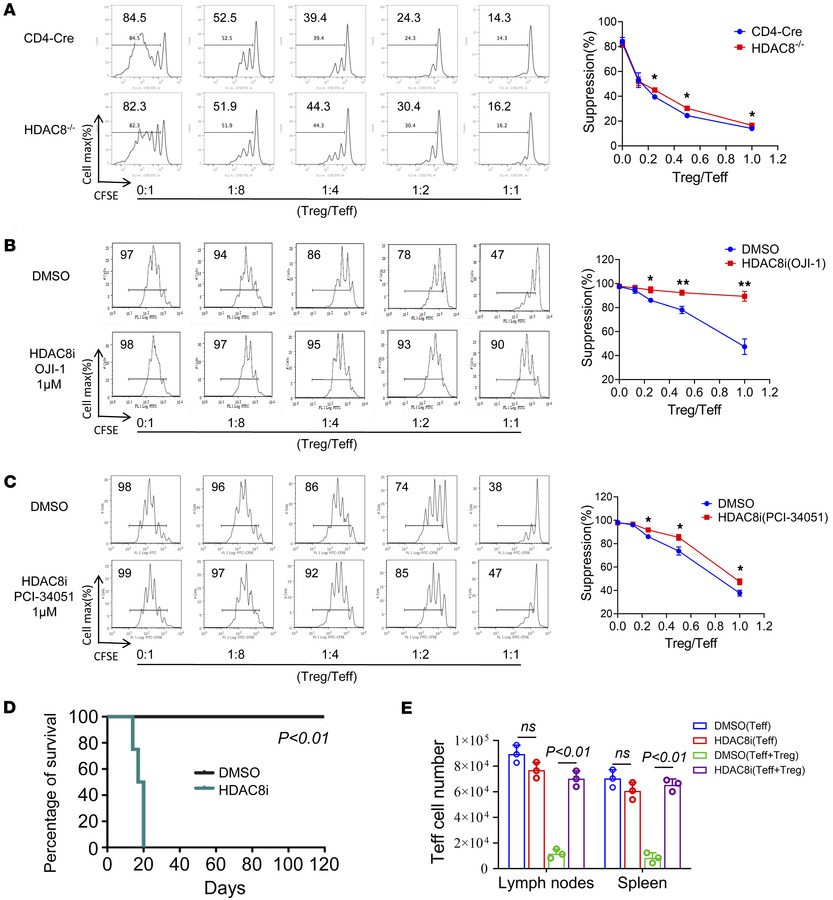 Conditional deletion or inhibition of HDAC8 impaired Treg suppressive fu...