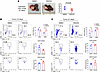Inhibition of HDAC8 promotes antitumor immunity in an orthotopic HCC model.