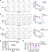 Conditional deletion or inhibition of HDAC8 impaired Treg suppressive funct