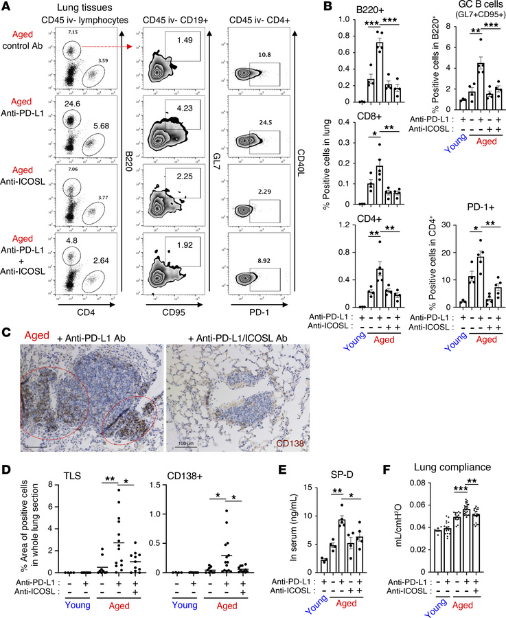 Abrogation of ICOS-ICOSL interaction with anti-ICOSL Ab attenuates the d...