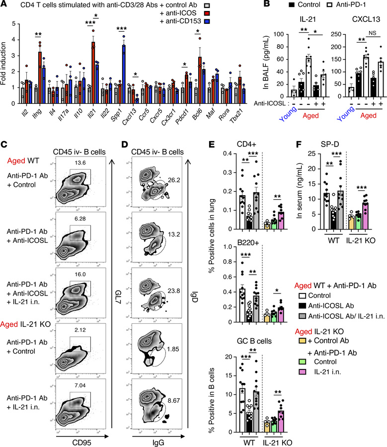 IL-21 is indispensable for ICOS stimulation–mediated exacerbation of ant...