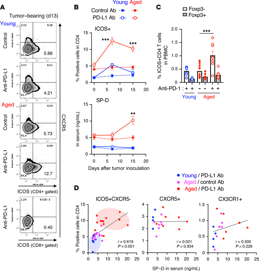 Anti–PD-L1 therapy causes ICOS+CD4+ T cells to be retained in the periph...
