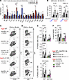 IL-21 is indispensable for ICOS stimulation–mediated exacerbation of anti–P