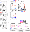 Anti–PD-L1 therapy causes ICOS+CD4+ T cells to be retained in the periphery