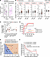 An increase in peripheral ICOS+CD4+ T cells is associated with the incidenc