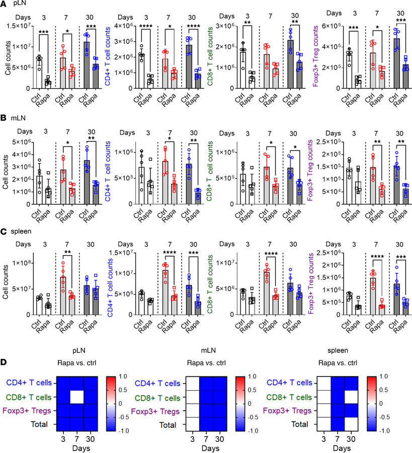 Rapamycin elicits significant changes in immune cell populations in LNs ...