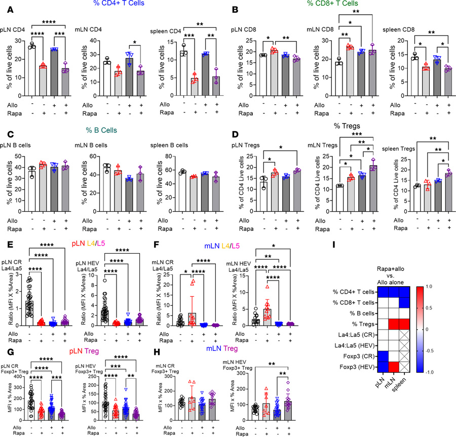 Rapamycin-induced protolerogenic modulation persists in tissue-specific ...