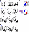Effects of rapamycin on LN cell content, cell distribution, and structure.