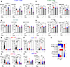 Rapamycin-induced protolerogenic modulation persists in tissue-specific pat