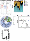 Effects of rapamycin and alloimmunity on gut microbiome and intestinal Foxp